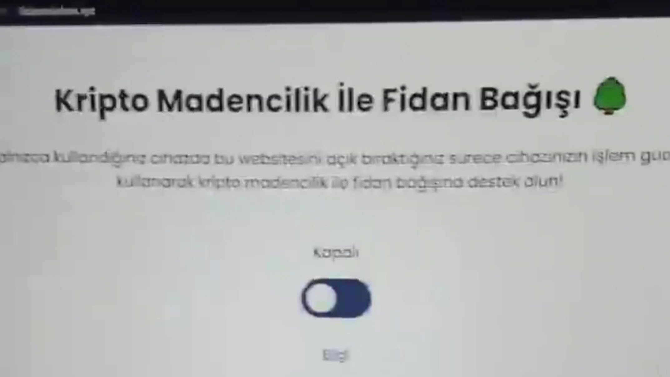 FidanMadeni screenshot